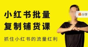 张宾·小红书批量复制铺货课，小红书0-1快速起号变现玩法，抓住小红书的流量红利（更新2023年3月）-林文副业站
