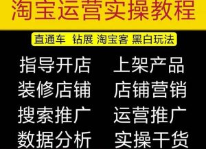 2023淘宝开店教程0基础到高级全套视频网店电商运营培训教学课程-林文副业站