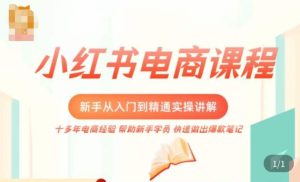 小红书电商新手入门到精通实操课，从入门到精通做爆款笔记，开店运营-林文副业站