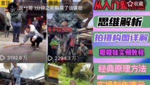 东方糖糖妹抖音短视频全套实战课思维+拍摄+剪辑+运营,从入门到精通-林文副业站