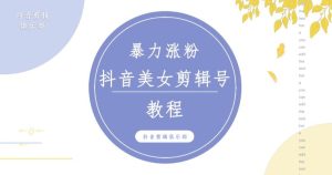 抖音快手暴力涨粉美女混剪视频教程，百分百过原创图片教程！附带违规申诉方法-林文副业站