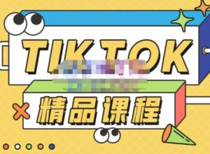 电商孵化中心·TikTok精品课程，教你玩转海外抖音，低成本创业，带您从0开始玩转TikTok-林文副业站