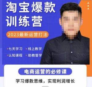 爱上黄昏·淘宝爆款训练营，2023最新运营打法，学习爆款思维，实现利润增长-林文副业站