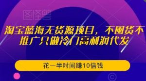 淘宝蓝海无货源项目,不囤货不推广只做冷门高利润代发,花一半时间赚10倍钱-林文副业站