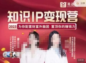 鹿盈盈-知识IP变现实操营，​普通人可复制的知识产品落地实操课，​带你打通知识IP变现底层逻辑-林文副业站
