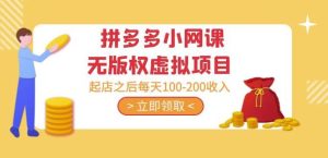 黄岛主·拼多多小网课无版权虚拟项目分享课：起店之后每天100-200收入-林文副业站