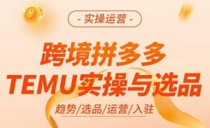 跨境拼多多TEMU实操与选品，​掌握平台运营方法技巧，选品避坑12条标准，爆款的底层思路等-林文副业站