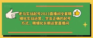 老马实战起号2023直播间全套精细化实战运营,学会正确的起号方式,精细化长期运营直播间-林文副业站
