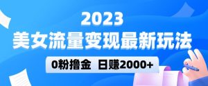 2023美女流量变现最新玩法，0粉撸金，日赚2000+，实测日引流300+-林文副业站