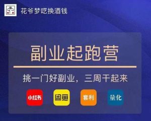 花爷-副业起跑营第2期，挑一门好副业，三周干起来（闲鱼｜小红书｜量化｜套利）-林文副业站