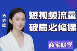 2023最新透糖短视频流量破局必修课——商家必学-林文副业站