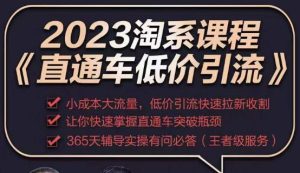 2023直通车低价引流玩法课程，小成本大流量，低价引流快速拉新收割，让你快速掌握直通车突破瓶颈-林文副业站