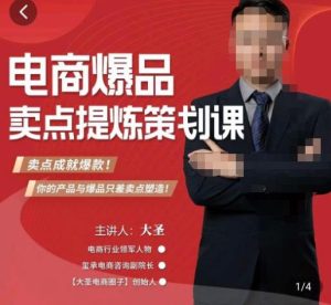 大圣·电商标品爆款卖点策划课，标品卖点成就爆款，可落地卖点提炼课-林文副业站