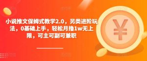 小说推文保姆式教学2.0，另类进阶玩法，0基础上手，轻松月撸1w无上限，可主可副可兼职-林文副业站