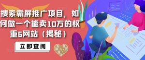 搜索霸屏推广项目，如何做一个能卖10万的权重6网站（揭秘）-林文副业站