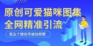 黑科技纯原创可爱猫咪图片，全网精准引流，实操5个VX号被加频繁-林文副业站