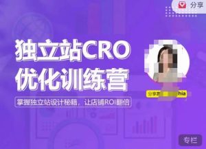 独立站CRO优化训练营,掌握独立站设计秘籍,打造高转化的独立站,让店铺ROI翻倍-林文副业站