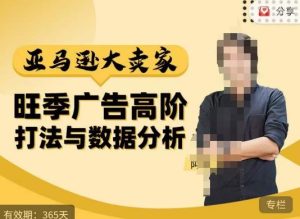 阿甘·亚马逊大卖家广告高阶打法与数据分析,走出传统广告误区;揭秘大卖惯用打法;数据驱动广告决策-林文副业站