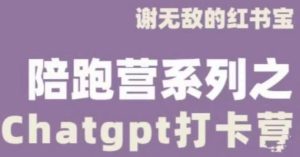 谢无敌ChatGPT打卡营,教你更好地使用ChatGPT来提高工作效率-林文副业站