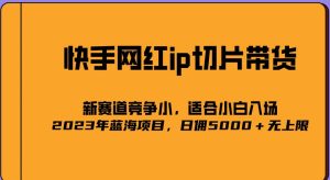 2023爆火的快手网红IP切片，号称日佣5000＋的蓝海项目，二驴的独家授权-林文副业站