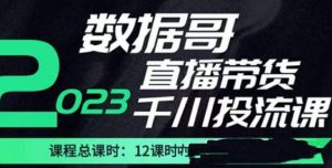 数据哥2023直播电商巨量千川付费投流实操课,快速掌握直播带货运营投放策略-林文副业站