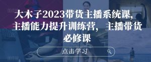大木子2023带货主播系统课,主播能力提升训练营,主播带货必修课-林文副业站