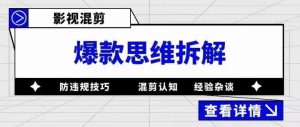 影视混剪爆款思维拆解，从混剪认知到0粉丝小号案例，讲防违规技巧，混剪遇到的问题如何解决等-林文副业站