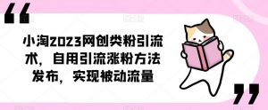 ​小淘2023网创类粉引流术，自用引流涨粉方法发布，实现被动流量-林文副业站