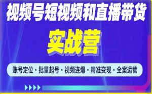 2023最新微信视频号引流和变现全套运营实战课程,小白也能玩转视频号短视频和直播运营-林文副业站