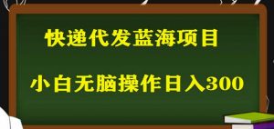2023最新蓝海快递代发项目，小白零成本照抄也能日入300+-林文副业站