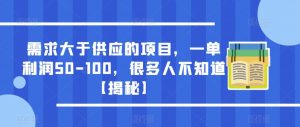 需求大于供应的项目，一单利润50-100，很多人不知道【揭秘】-林文副业站