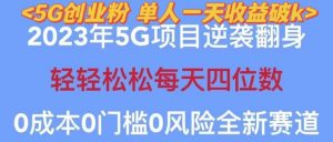 2023年最新自动裂变5g创业粉项目，日进斗金，单天引流100+秒返号卡渠道+引流方法+变现话术【揭秘】-林文副业站