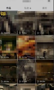 毒文案升级玩法，流量爆炸，5分钟一条原创作品，单个作品变现500+-林文副业站