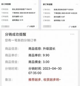 快递代发CPS,月入万元,不起眼却很赚钱的信息差项目【揭秘】-林文副业站