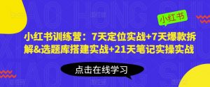 小红书训练营：7天定位实战+7天爆款拆解&选题库搭建实战+21天笔记实操实战-林文副业站
