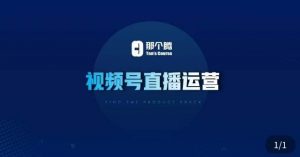 那个腾·视频号直播运营，​视频号直播推流逻辑/流量渠道解析/直播起号攻略/直播实操技巧-林文副业站