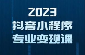 2023年抖音小程序变现保姆级教程，0粉丝新号，无需实名，3天起号，第1条视频就有收入-林文副业站