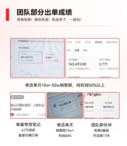 2023小红书电商火爆全网，新晋红利，风口项目，单店收益在3000-30000！-林文副业站