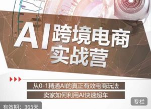 白龙老师·AI跨境电商实战营:从0-1精通Al的真正有效电商玩法,卖家如何利用Al快速超车-林文副业站