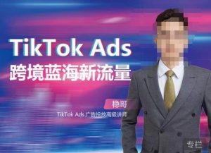 稳哥·如何投出高ROI的TikTok广告,开拓独立站卖家流量新蓝海-林文副业站