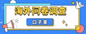 外面收费5000+海外问卷调查口子查项目，认真做单机一天200+【揭秘】-林文副业站
