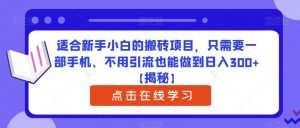 适合新手小白的搬砖项目，只需要一部手机、不用引流也能做到日入300+【揭秘】-林文副业站