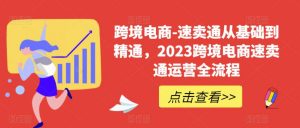 跨境电商-速卖通从基础到精通,2023跨境电商速卖通运营全流程-林文副业站