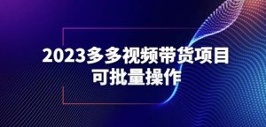 2023多多视频带货项目，可批量操作【保姆级教学】【揭秘】-林文副业站