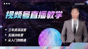 杨sir·视频号直播运营教学，视频号直播流量的底层逻辑，解决直播间没流量，不开单的窘境-林文副业站