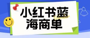 价值2980的小红书商单项目暴力起号玩法，一单收益200-300（可批量放大）-林文副业站