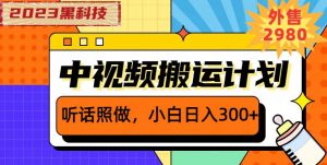 外面卖2980元2023黑科技操作中视频撸收益，听话照做小白日入300+-林文副业站
