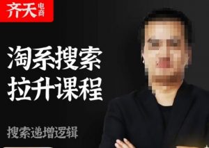 齐天电商·淘系搜索提升课程，​搜索递增标准化，动销标准化流程-林文副业站