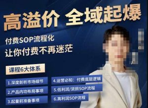 逸风-拼多多高溢价全域起爆，6大课程体系，付费玩法全套实操-林文副业站