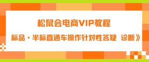 松鼠会电商VIP教程：松鼠《付费推广标品·半标直通车操作针对性答疑&诊断》-林文副业站